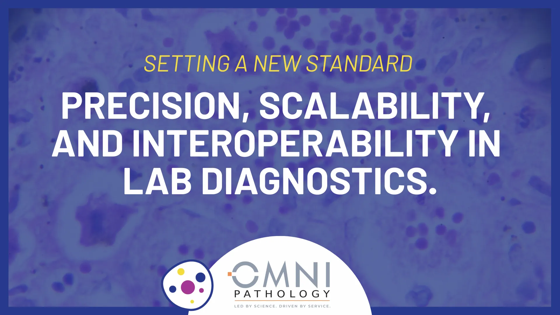 setting a new standard