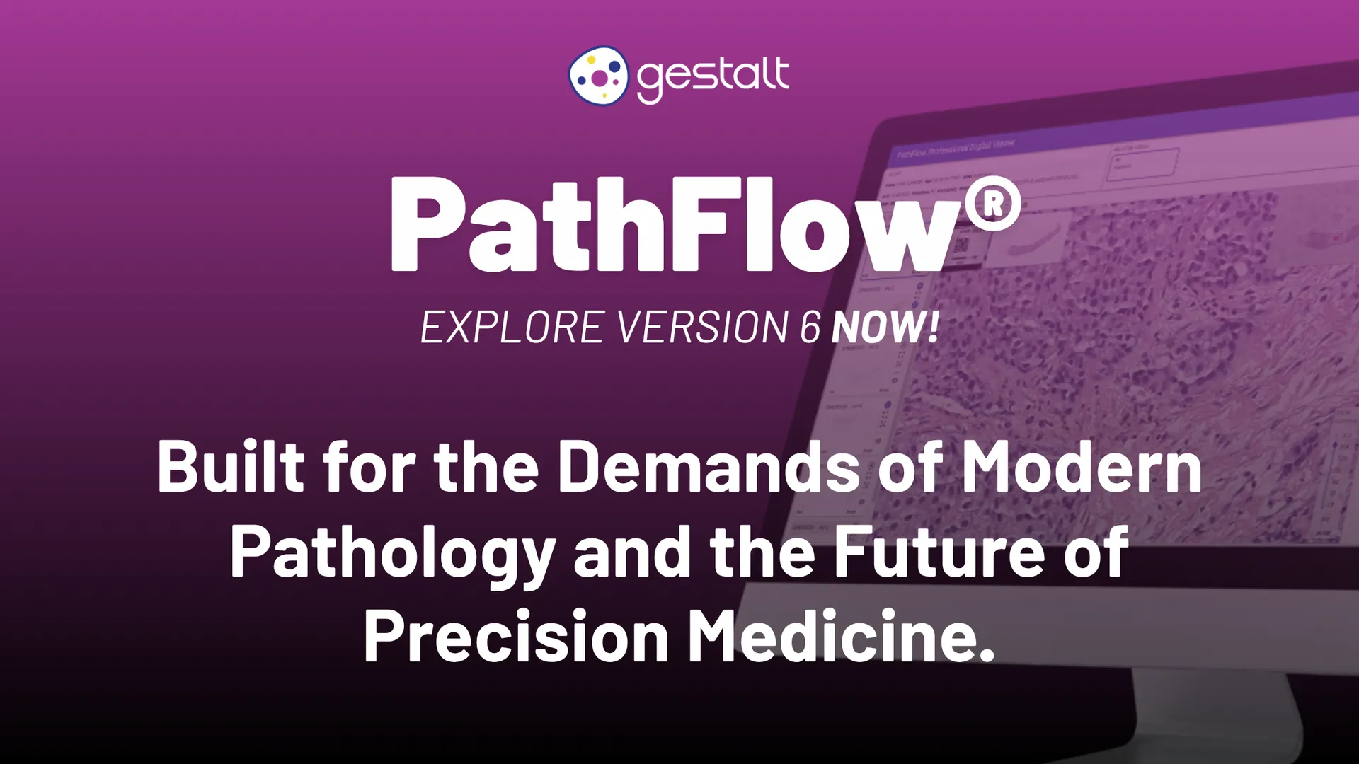 PathFlow Version 6