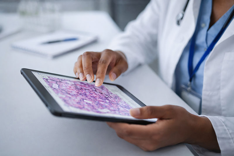 person using a tablet to look at pathology