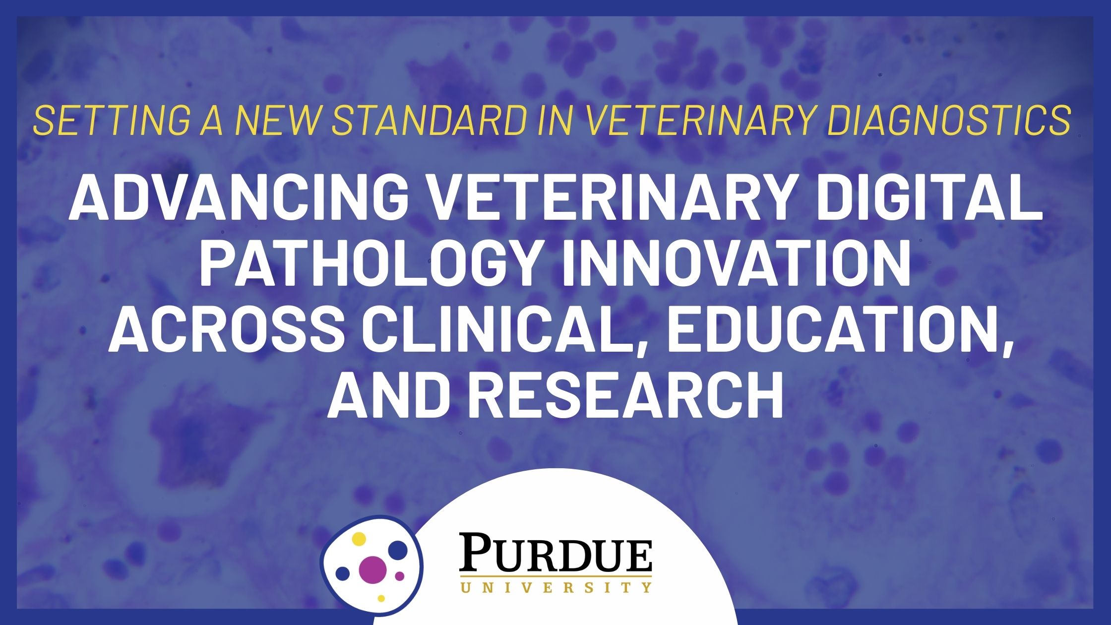 New Standard in Veterinary Diagnostics: Enhancing Veterinary Diagnostic Pathology Innovation Across Clinical, Education and Research